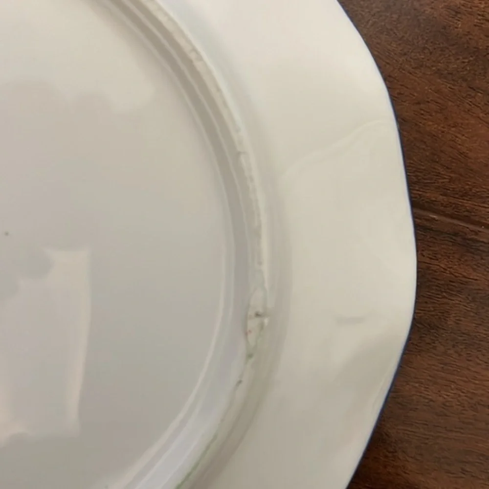 ANTHROPOLOGIE SCALLOP PLATE WITH RAINBOW CHEVRON WATERCOLOR DESIGN